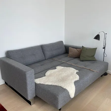 Luksuslejlighed Pa 7 Sal Med Elevator, Vestvendt Altan Og Udsigt Over Havn Og By Apartment Copenhagen
